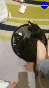 d9GcRlKj_v1ZDgJrpS8_0Z1gfJBJmCO2tiW_ydGoNCEzFEDA&s.jpg